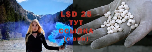 spice Ладушкин