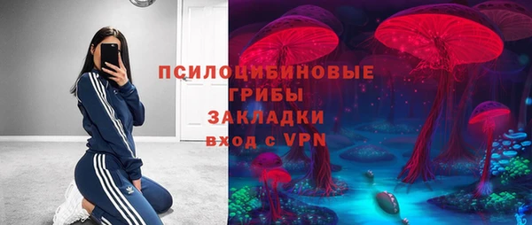 прущая мука Кукмор