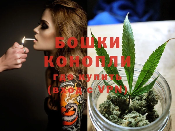 spice Ладушкин