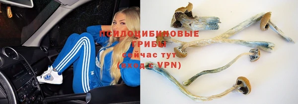 хмурый Липки
