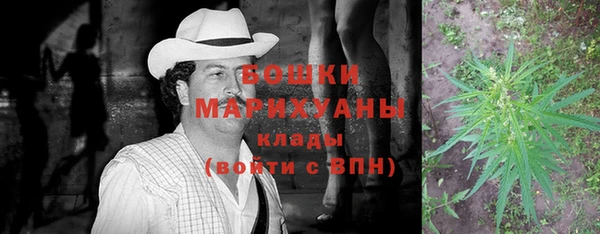 хмурый Липки