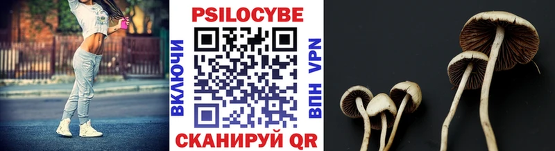 Псилоцибиновые грибы Magic Shrooms  Мамадыш 